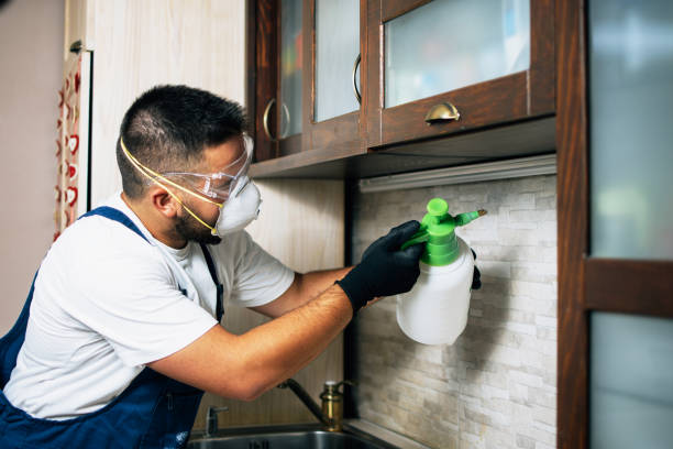 Best Mosquito Control Services  in Jenison, MI