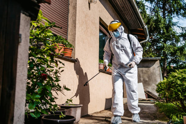 Best Cockroach Control Services  in Jenison, MI