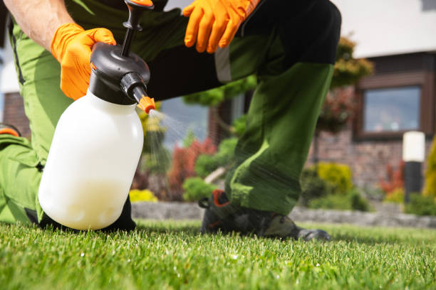 Best Local Pest Control Services  in Jenison, MI