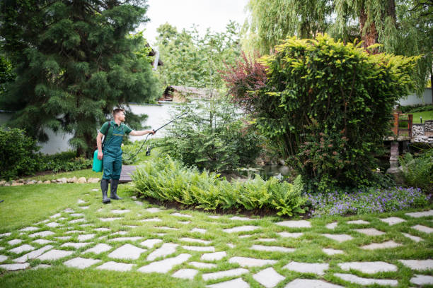 Best Cockroach Control Services  in Jenison, MI