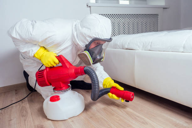 Best Termite Control Services  in Jenison, MI
