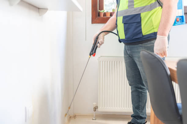 Best Rat Extermination Near Me  in Jenison, MI