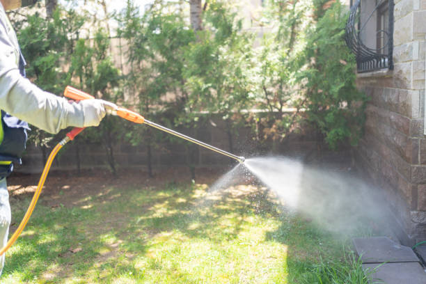Best Termite Control Services  in Jenison, MI