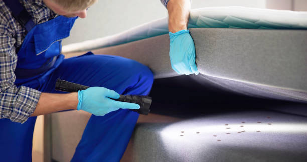 Best Best Pest Control Near Me  in Jenison, MI