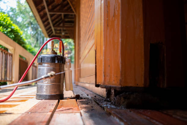 Best Best Pest Control Companies  in Jenison, MI