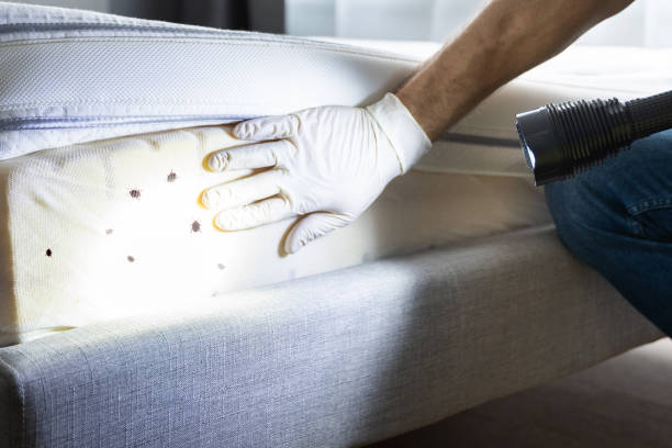 Best Affordable Exterminators  in Jenison, MI