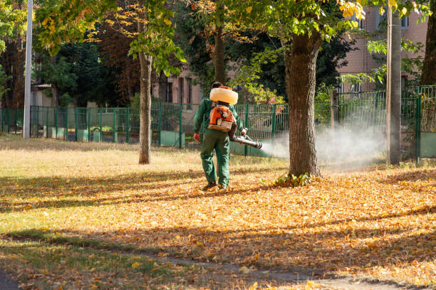 Best Pest Control Near Me in Jenison, MI