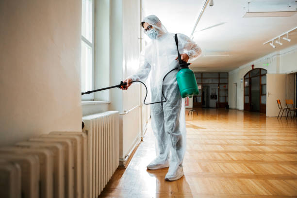 Trusted Jenison, MI Pest Control Experts