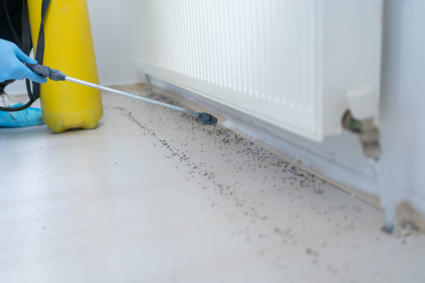 Best Exterminator Services  in Jenison, MI