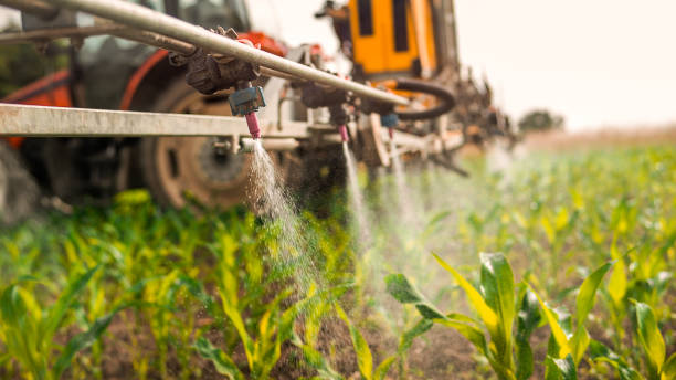 Best Wildlife Control Services  in Jenison, MI