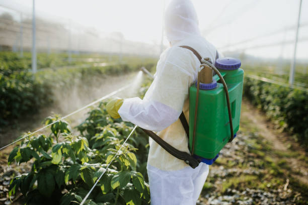Best Affordable Pest Control Services  in Jenison, MI